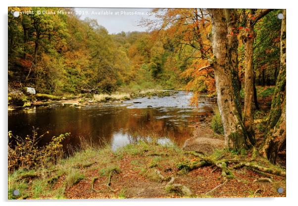 Autumn on the River Wharfe  Acrylic by Diana Mower