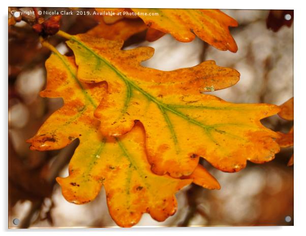 Oak Leaves In Autumn Acrylic by Nicola Clark