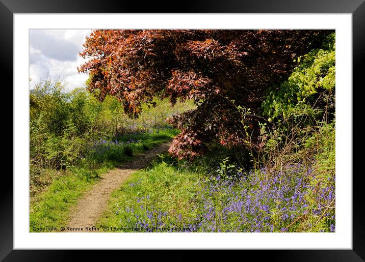 Follow The Path Framed Mounted Print by Ronnie Reffin
