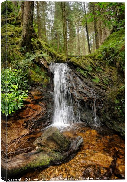 Waterfall In The Glade Canvas Print by Ronnie Reffin