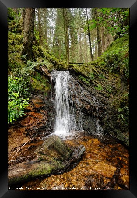 Waterfall In The Glade Framed Print by Ronnie Reffin