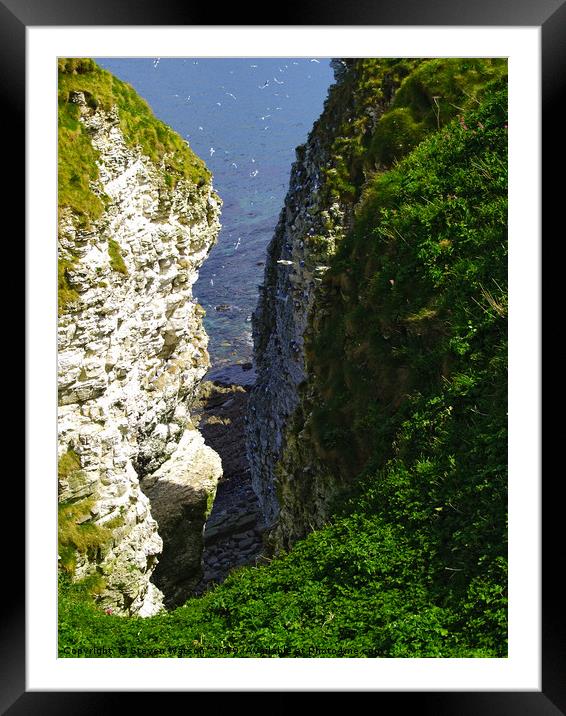Bempton Cliffs Framed Mounted Print by Steven Watson