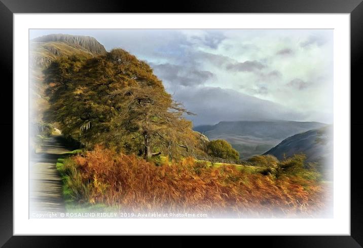 "Sunshine and mist over Wasdale" Framed Mounted Print by ROS RIDLEY