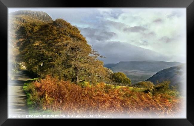 "Sunshine and mist over Wasdale" Framed Print by ROS RIDLEY