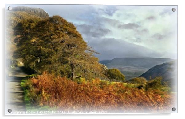 "Sunshine and mist over Wasdale" Acrylic by ROS RIDLEY