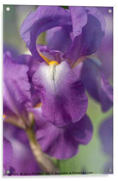 Beauty of Irises. Aphrodite 6 Acrylic by Jenny Rainbow