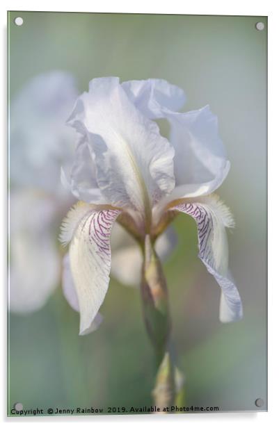 Beauty Of Irises. Bridesmaid Acrylic by Jenny Rainbow