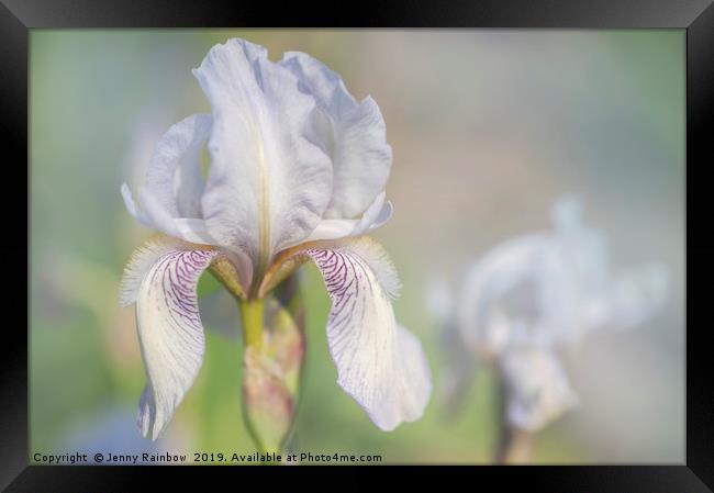 Beauty Of Irises. Bridesmaid 1 Framed Print by Jenny Rainbow