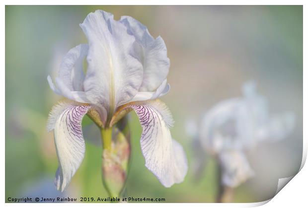 Beauty Of Irises. Bridesmaid 1 Print by Jenny Rainbow