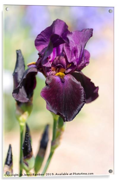 Beauty Of Irises. Congo Acrylic by Jenny Rainbow