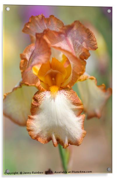 Beauty Of Irises. Heather Hawk Acrylic by Jenny Rainbow