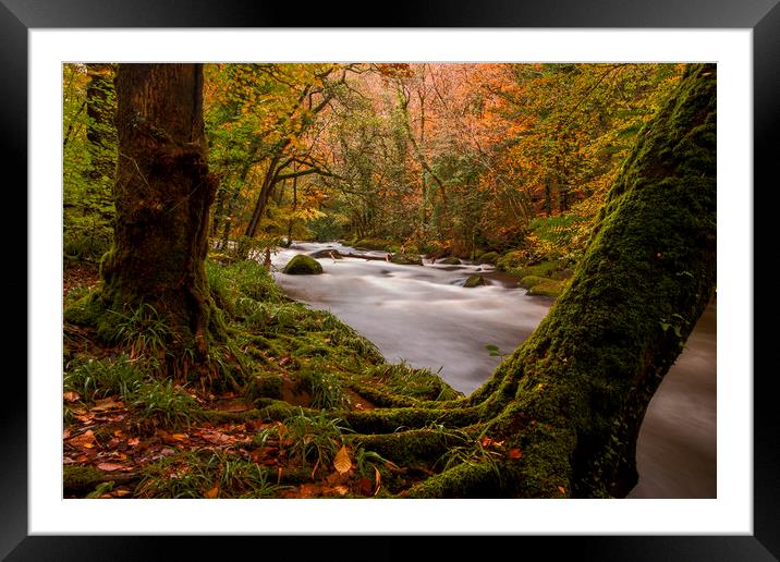 River Teign, Dartmoor, Devon. UK Framed Mounted Print by Maggie McCall