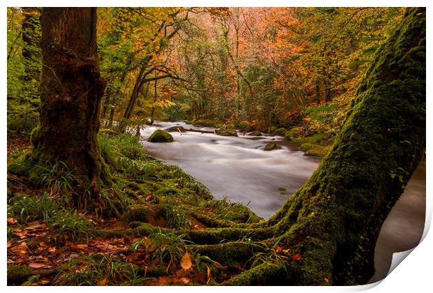 River Teign, Dartmoor, Devon. UK Print by Maggie McCall