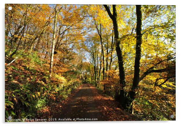 Autumn at Kilminorth Woods in Looe Cornwall Acrylic by Rosie Spooner