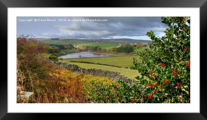 Lower Laithe Reservoir From Pennistone Hill Framed Mounted Print by Diana Mower
