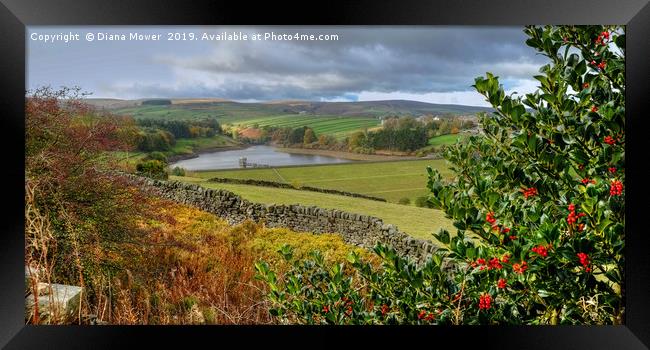 Lower Laithe Reservoir From Pennistone Hill Framed Print by Diana Mower