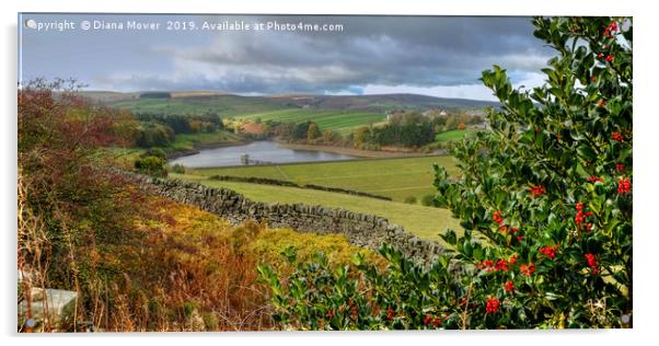 Lower Laithe Reservoir From Pennistone Hill Acrylic by Diana Mower
