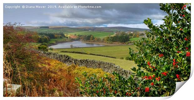 Lower Laithe Reservoir From Pennistone Hill Print by Diana Mower