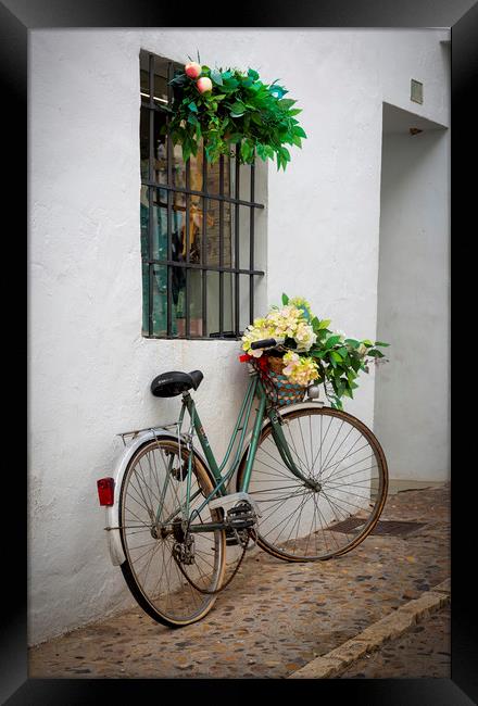 A bicycle in a back street Framed Print by Leighton Collins