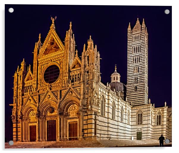 Siena Cathedral at Night Acrylic by Geoff Storey