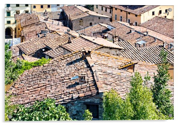 Colle di Val d'Elsa roofs Acrylic by Geoff Storey