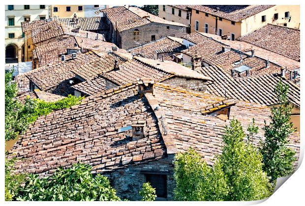 Colle di Val d'Elsa roofs Print by Geoff Storey