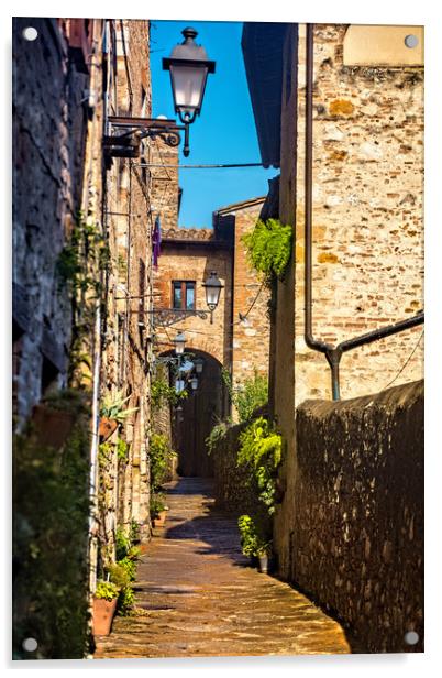 Narrow Street in Colle di Val d'Elsa Acrylic by Geoff Storey