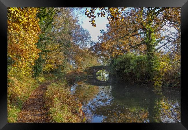 Basingstoke Canal Autumn Framed Print by Philip Enticknap