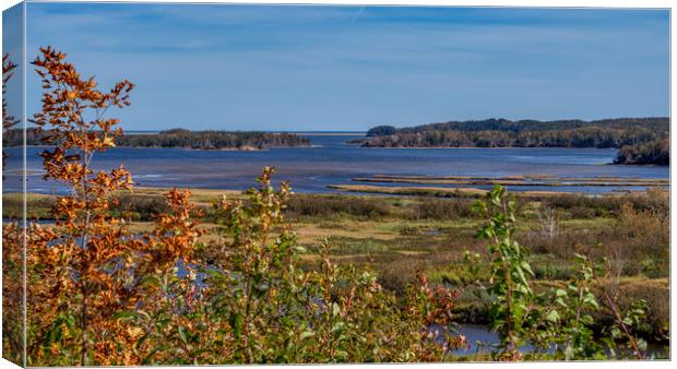 Aspy Bay, Cape Breton, Canada Canvas Print by Mark Llewellyn