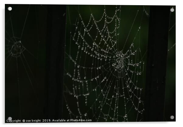 spider web Acrylic by zoe knight