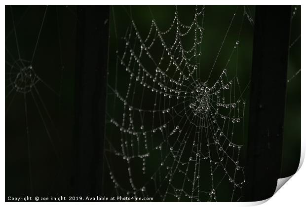 spider web Print by zoe knight