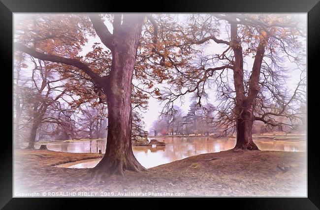 "Trees by a misty Autumn lake " Framed Print by ROS RIDLEY