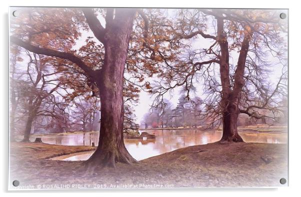 "Trees by a misty Autumn lake " Acrylic by ROS RIDLEY