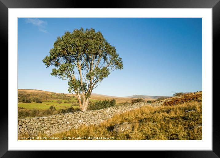 Eucalyptus Tree Brecon Beacons South Wales Framed Mounted Print by Nick Jenkins