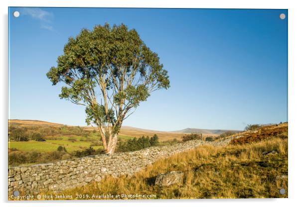 Eucalyptus Tree Brecon Beacons South Wales Acrylic by Nick Jenkins