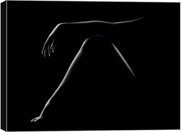 Nude woman bodyscape 51 Canvas Print by Johan Swanepoel