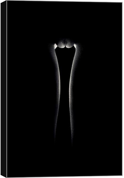 Nude woman bodyscape 49 Canvas Print by Johan Swanepoel