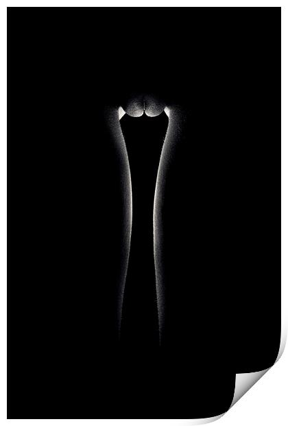 Nude woman bodyscape 49 Print by Johan Swanepoel