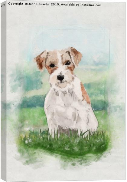 Playful and Hardy: A Jack Russell Terrier Canvas Print by John Edwards