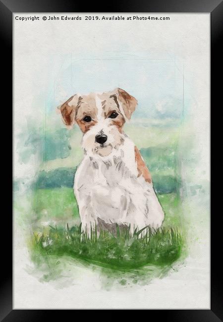 Playful and Hardy: A Jack Russell Terrier Framed Print by John Edwards