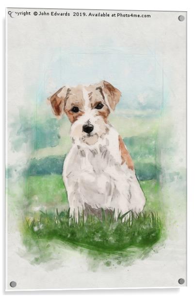 Playful and Hardy: A Jack Russell Terrier Acrylic by John Edwards