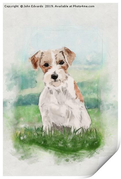 Playful and Hardy: A Jack Russell Terrier Print by John Edwards