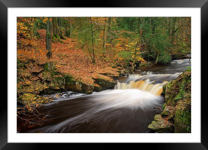  Rivelin Waterfalls in Autumn                      Framed Mounted Print by Darren Galpin