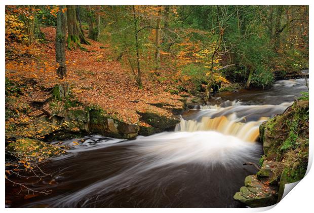  Rivelin Waterfalls in Autumn                      Print by Darren Galpin
