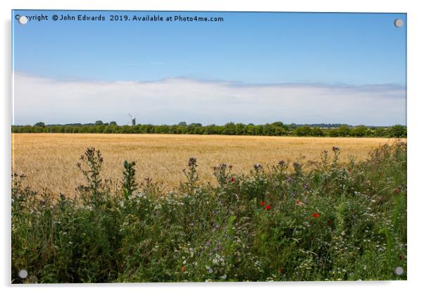 Wheat field, Great Bircham Acrylic by John Edwards