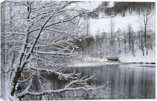 Winter's Embrace at Cwmtillery Lakes Canvas Print by Philip Veale