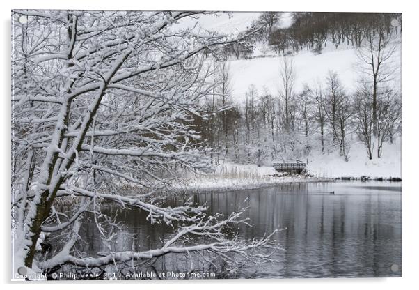 Winter's Embrace at Cwmtillery Lakes Acrylic by Philip Veale