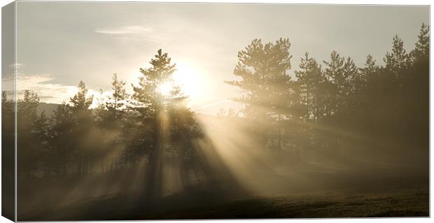 Sunrise bursting through trees and mist Canvas Print by Ian Middleton