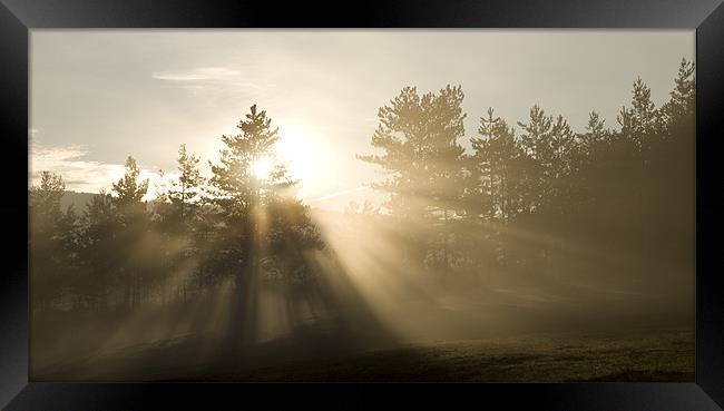 Sunrise bursting through trees and mist Framed Print by Ian Middleton