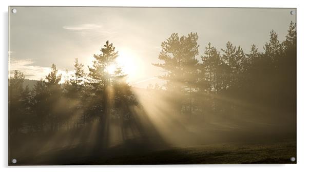 Sunrise bursting through trees and mist Acrylic by Ian Middleton